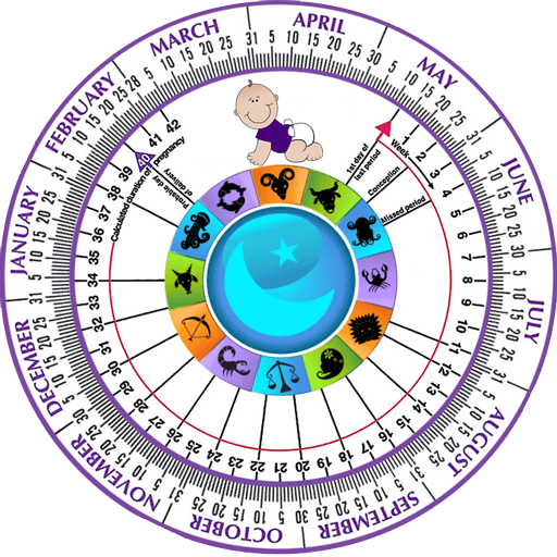 due date calculator based on ovulation date