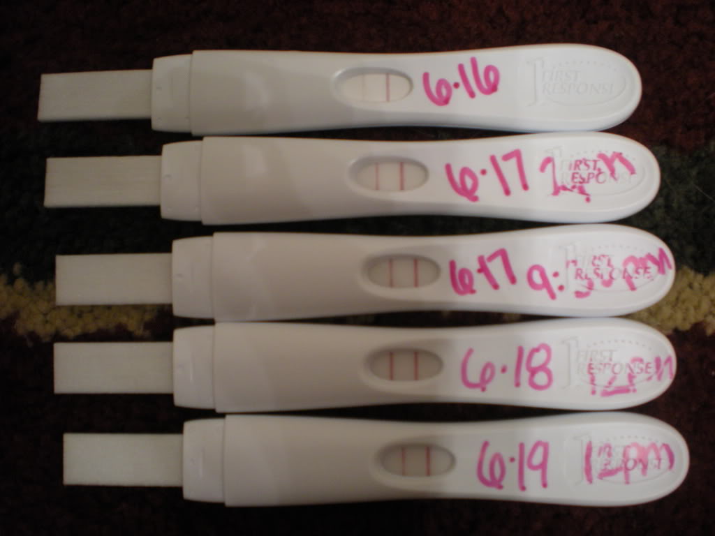 LH test strips fertility window