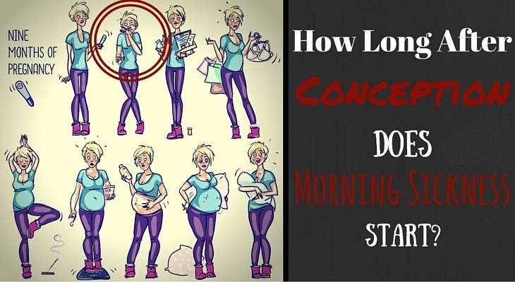 How Long After Conception Does Morning Sickness Start